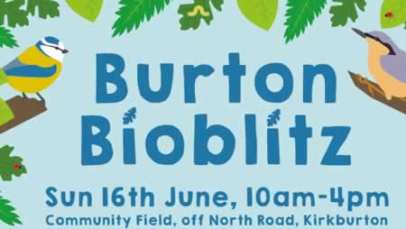 Burton Bioblitz