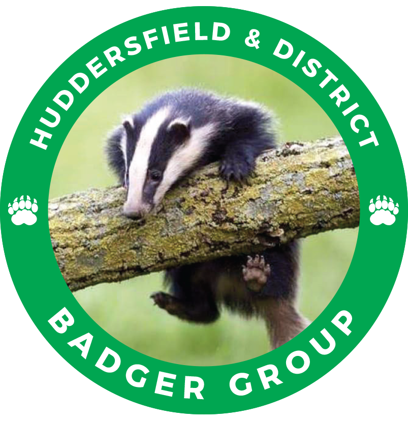 H&D Badger Group Logo